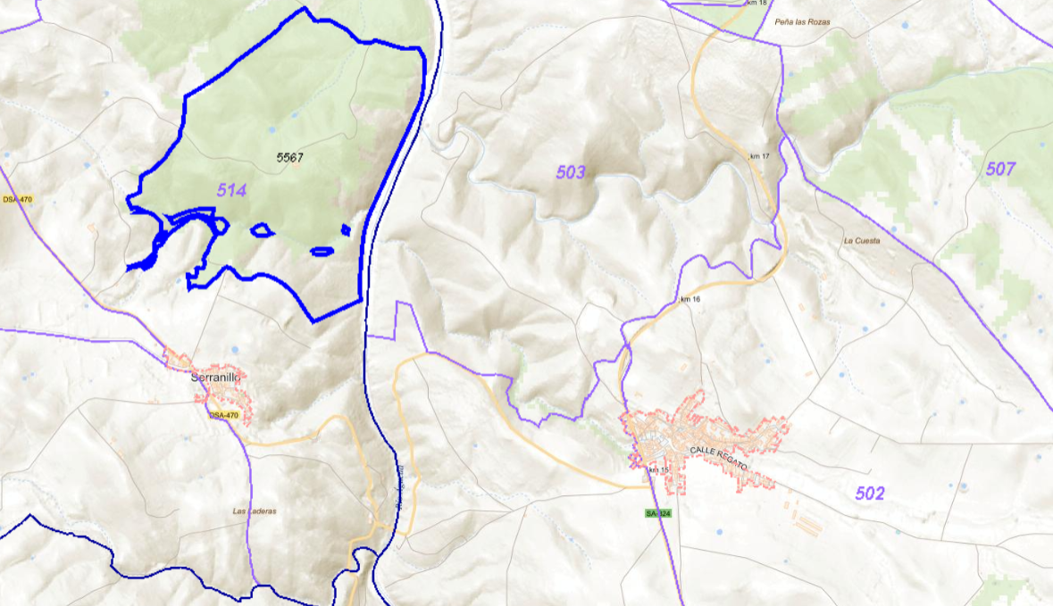 Villar de la Yegua licita el arrendamiento para pastos y montanera de cuatro fincas
