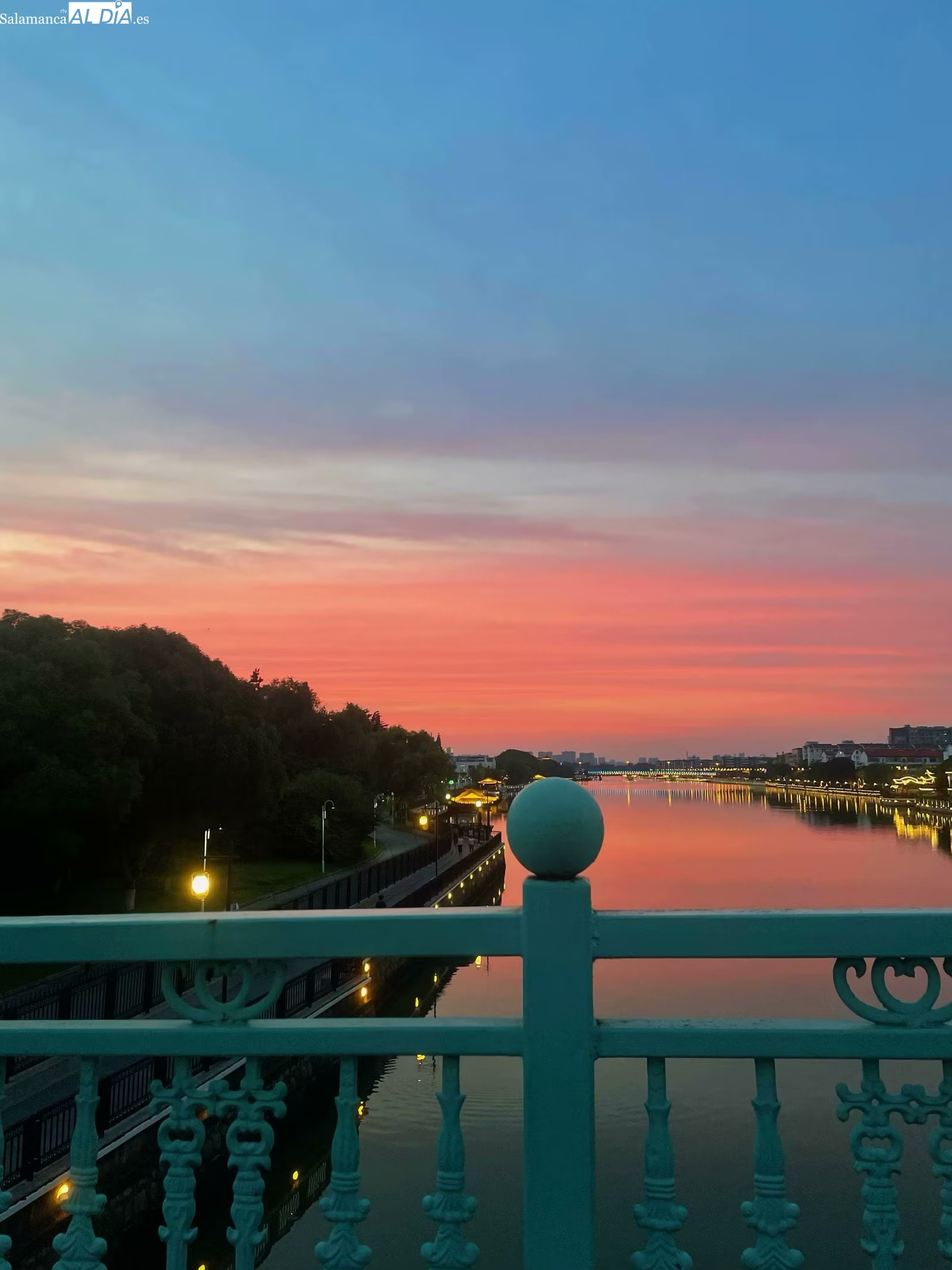 Una vida dedicada a los libros y la lectura