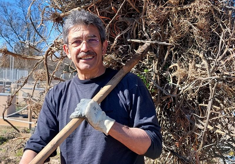 Al huerto le acabas cogiendo cariño y el compañerismo que se crea te deja buenas sensaciones