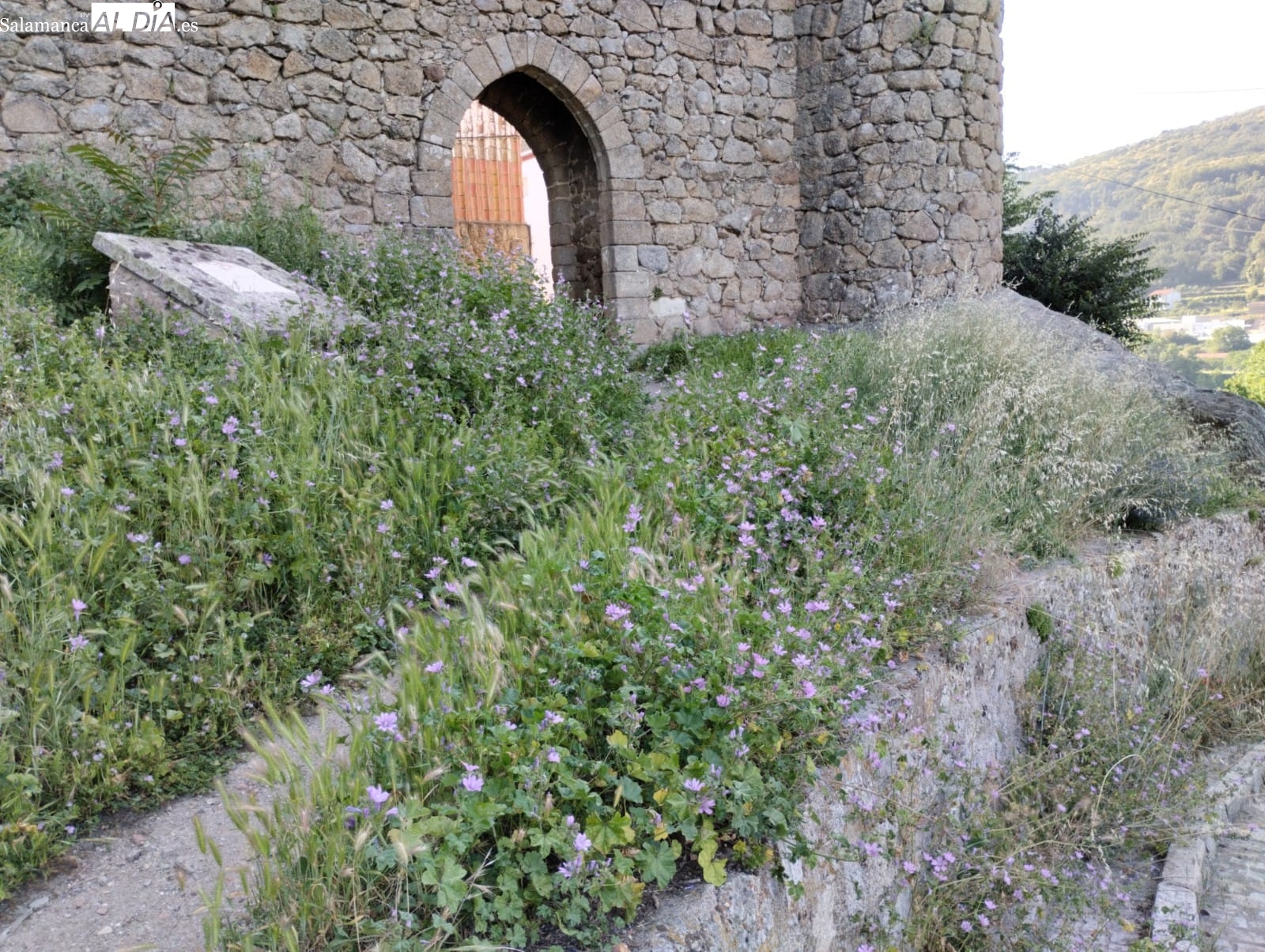 Vecinos de Béjar denuncian el estado de la Puerta del Pico en la muralla por la falta de cuidados