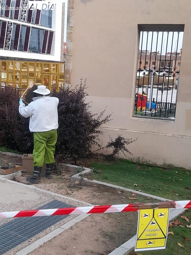 Intervención de los bomberos junto al Corte Inglés para retirar un enjambre de abejas