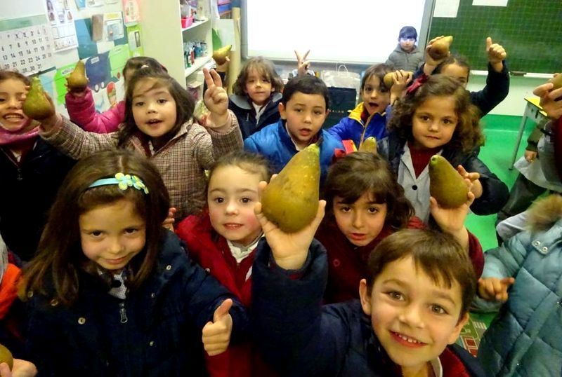 Crece la red de escuelas saludables de Castilla y León