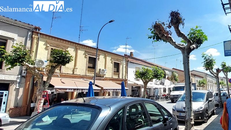 Indignación e impotencia por el envenenamiento de varios árboles de la Carretera de la Estación de Lumbrales