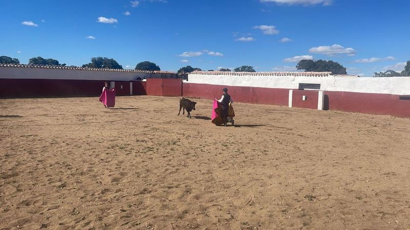 Ya se conocen los finalistas del Bolsín Taurino Botijo de Filigrana