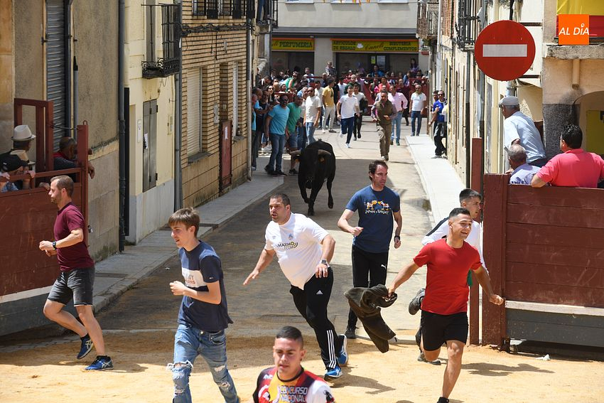 El tiempo da tregua al Corpus y permite lucir el encierro de novillos sabatino