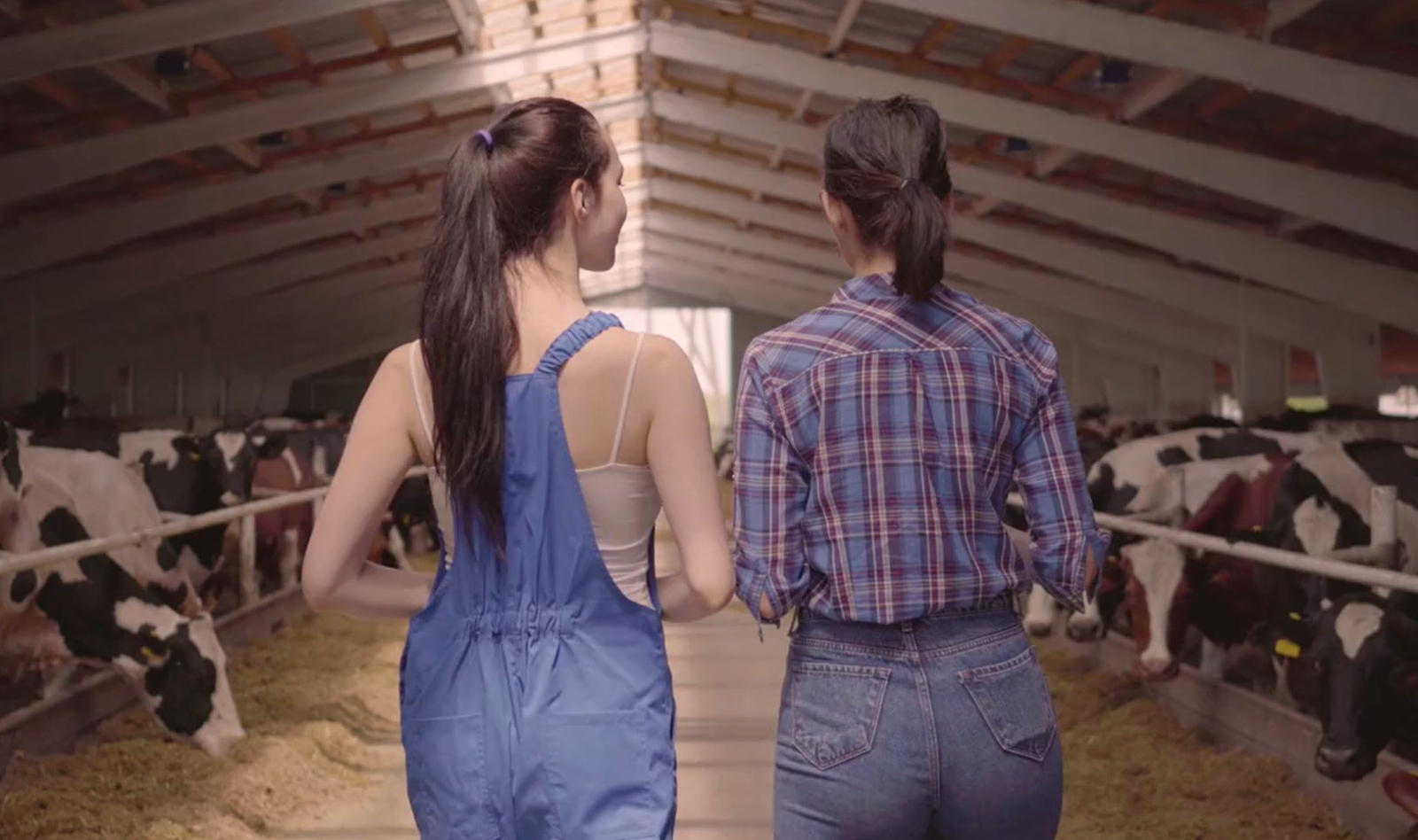 ¿Estás interesado en cursar estudios vinculados al sector agrícola, ganadero o forestal? Descubre estos FP 