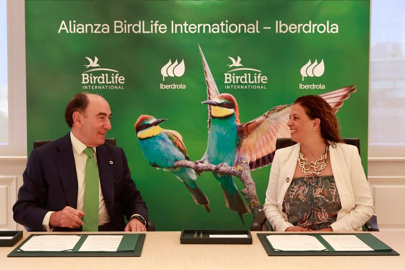 Iberdrola y Birdlife International firman una alianza para proteger la biodiversidad