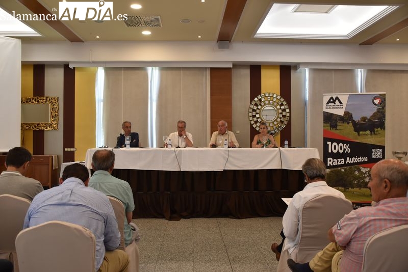 La Asociación Nacional de Criadores de Ganado Vacuno de Raza Morucha celebra su asamblea anual