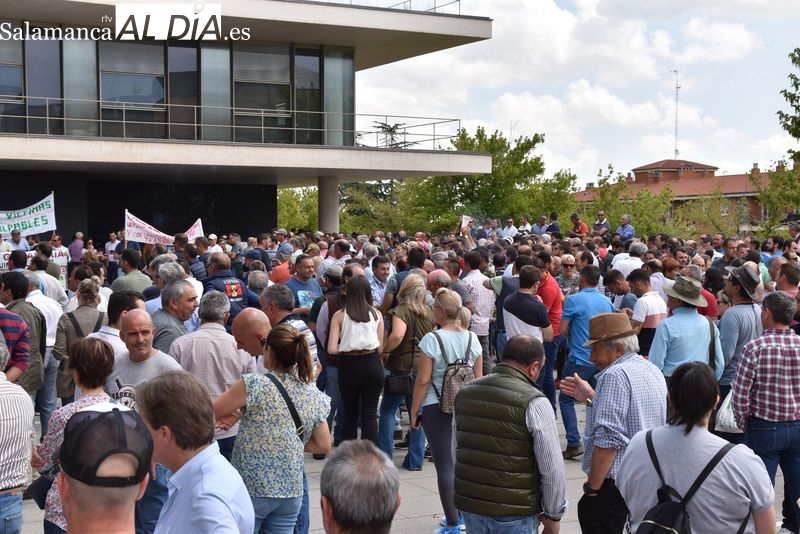 El TSJCyL suspende la Resolución de la Consejería de Agricultura por la que flexibilizaba las medidas de control de la tuberculosis bovina