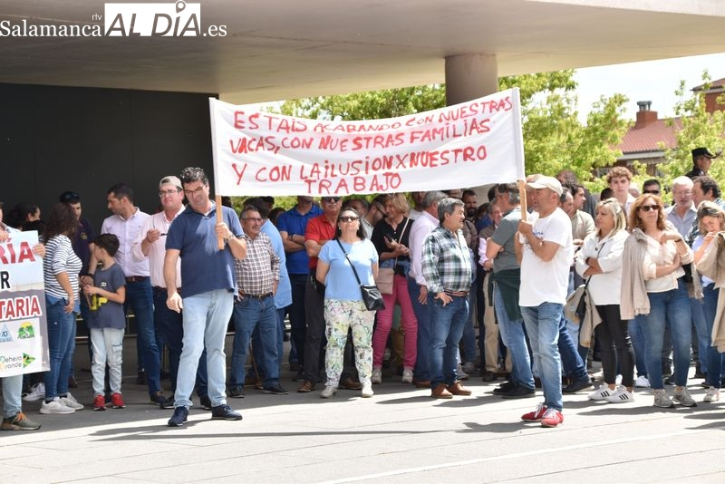 Los ganaderos dan marcha atrás y no paralizarán de momento los saneamientos