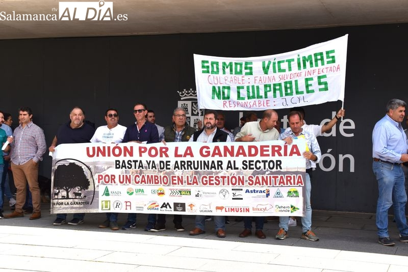 ASAJA condena los actos violentos a las puertas de la Delegación de la Junta en Salamanca