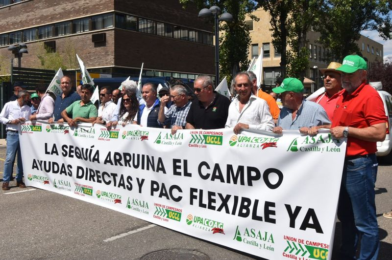 Presencia salmantina en la manifestación de Valladolid con más de 2.000 agricultores y ganaderos de CyL 