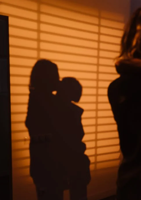 Las principales características de los estores opacos