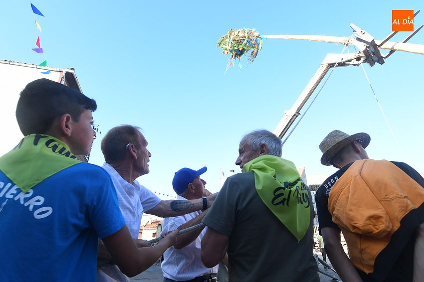 El Payo iza su pino de más de 20 metros de altura en la tarde- noche de San Juan