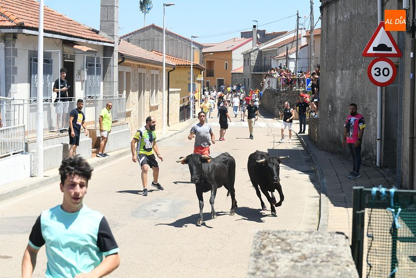Numerosos jóvenes se miden en las calles de El Payo a las vaquillas con mucho calor