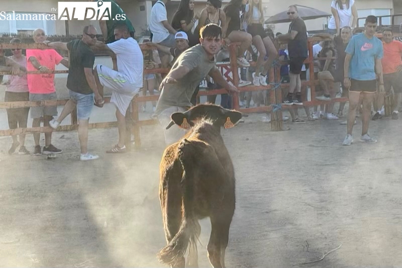 Animación y gran expectación para vivir la segunda jornada de Toro de Cajón en Villoruela