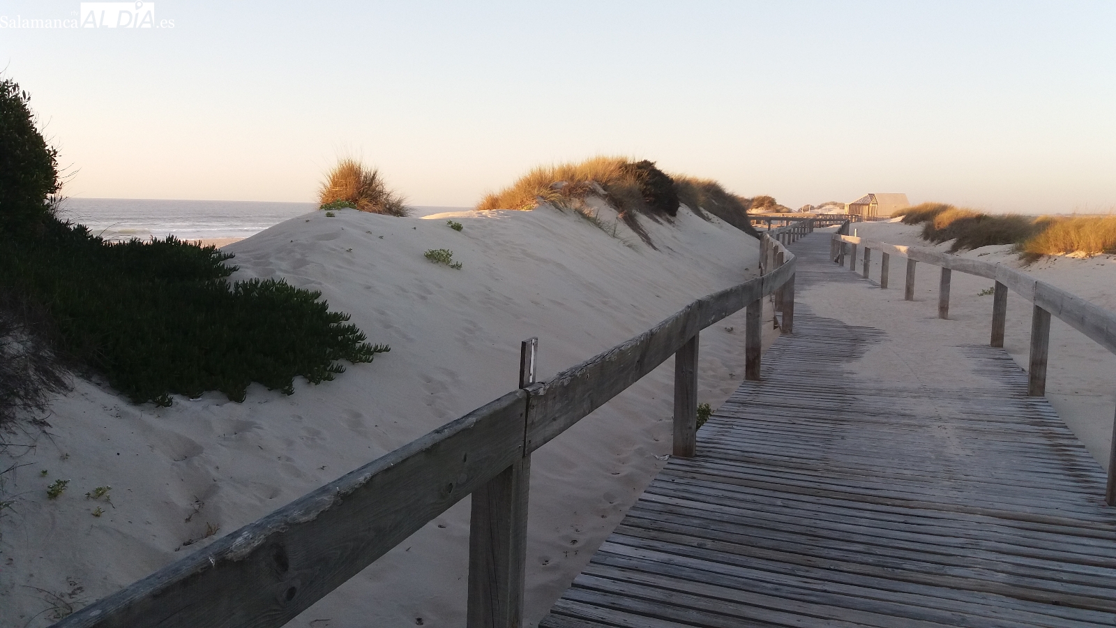 Ílhavo, Vagos y Mira acuerdan un conjunto de intervenciones en sus playas