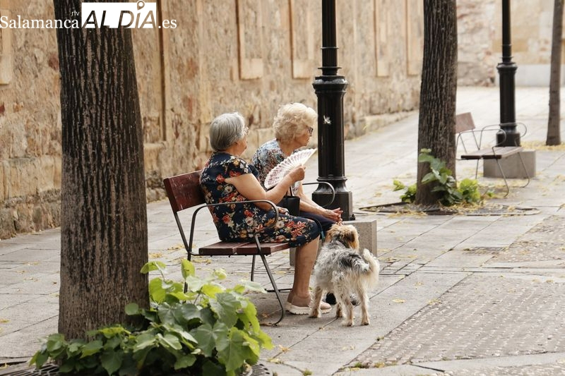 Julio, el mes más cálido de toda la historia