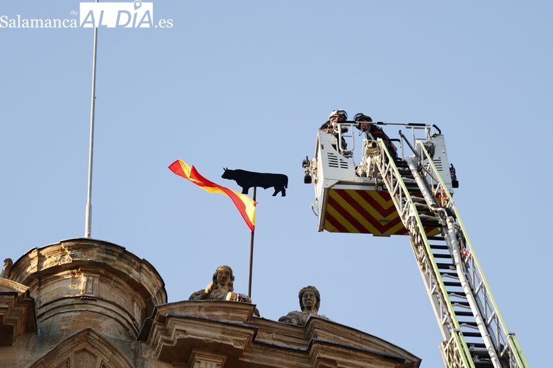 La Mariseca ya luce en lo más alto de la Plaza Mayor de Salamanca