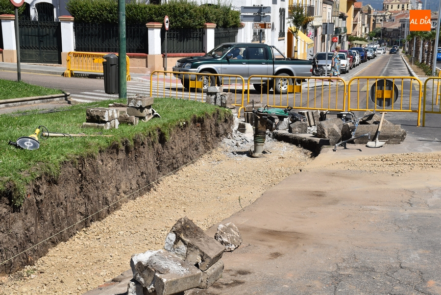 En marcha el recorte de uno de los jardines de la Glorieta del Árbol Gordo