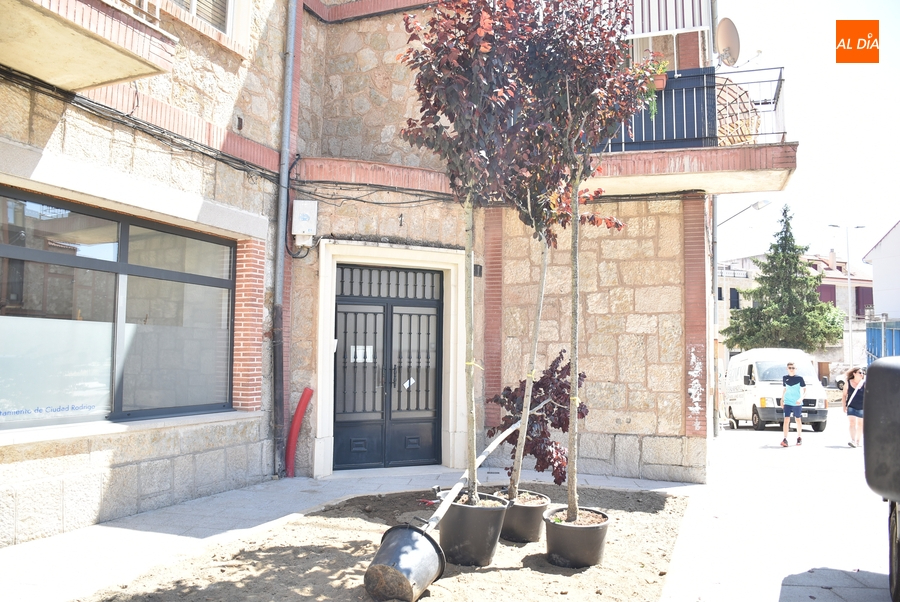 La Plazuela de Herradores recibe su surtido verde