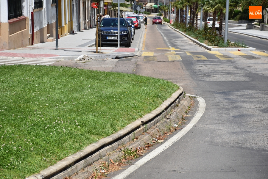 Un jardín de la Glorieta del Árbol Gordo será recortado para alinearlo con la Avenida de España