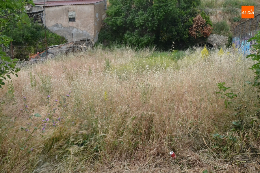 El Ayuntamiento da 15 días a los propietarios y arrendatarios de solares e inmuebles para que los limpien