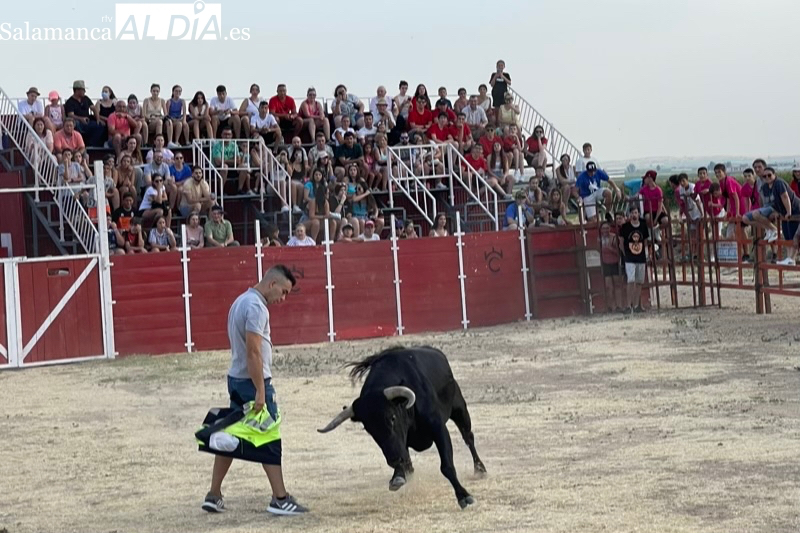 Cinco toros y dos días: Así será el Toro de Cajón 2023 en Villoruela