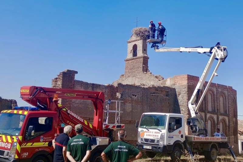 Rescatan a una cigüeña atrapada en la Ermita de Cantaracillo