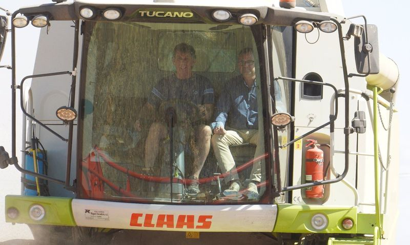 Dramática reducción de la cosecha de cereal en CyL: un 37% 