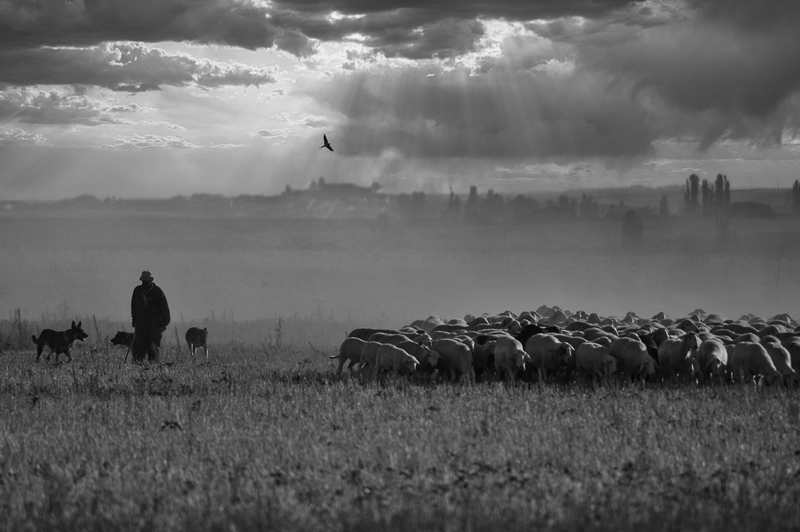 Entre el cielo y el suelo 