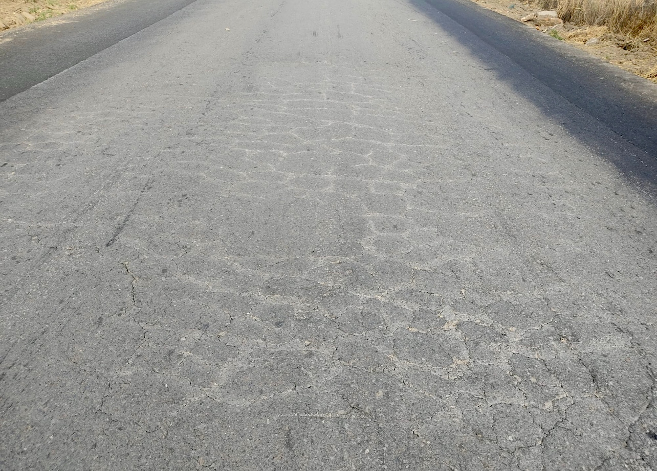 PeC exige al Gobierno local que tome medidas y reasfalte la principal carretera de acceso al polígono industrial El Inestal