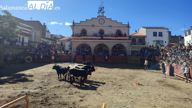 Villarino vivirá una semana entera de intensas fiestas en honor a San Roque