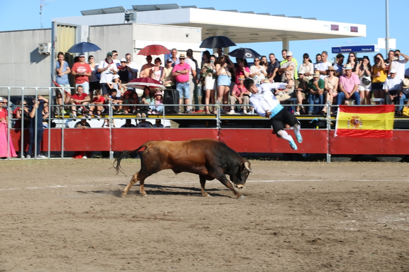 Entretenido festejo taurino en Villar de Peralonso con tentadero de aficionados y recortes