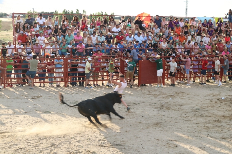 Boada vive con gran entusiasmo su II Toro de Cajón