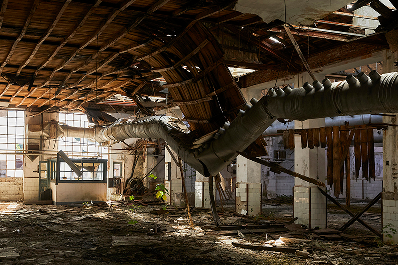 El fotógrafo bejarano Juan Carlos Verona, nominado en los AOP Awards 2023