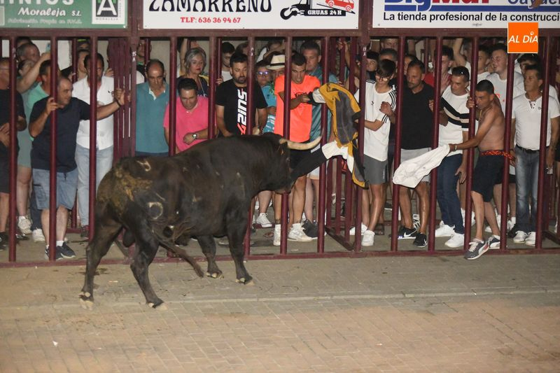 Un herido grave en el encierro de esta madrugada en Moraleja