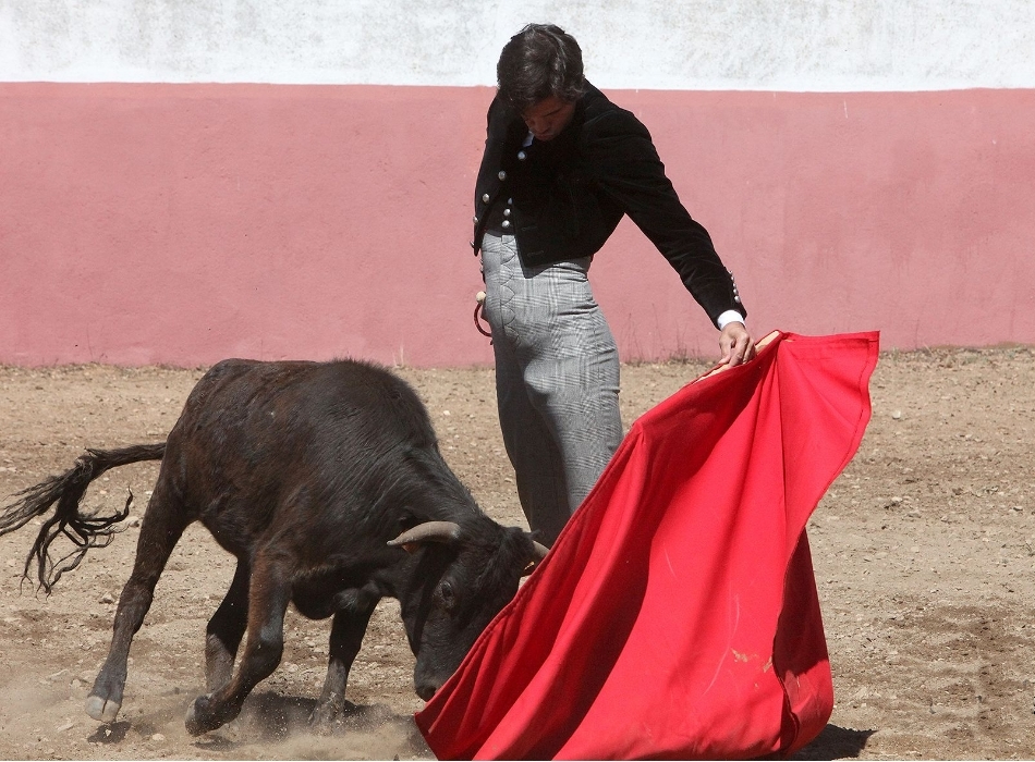 Juan del Álamo, preparado para Pamplona