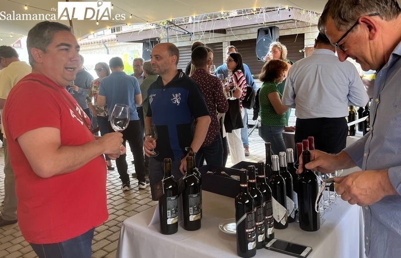 La añada 2022 de la D.O. Arribes, calificada como ‘muy buena’