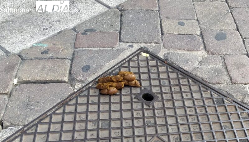 ¡Menuda guarrada, que asco!, indignación vecinal por excrementos caninos en la avenida de Portugal