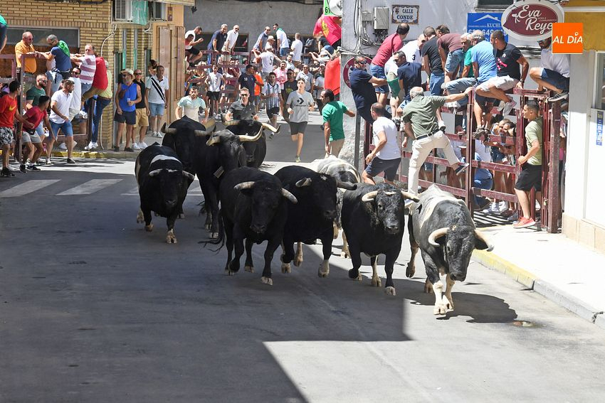 san buenaventura moraleja