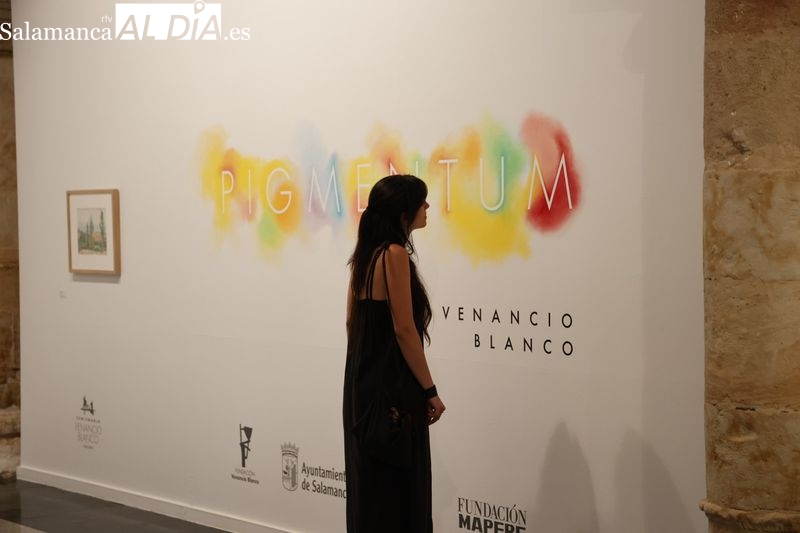 Pigmentum, una atractiva selección de pinturas, dibujos y cerámicas de Venancio Blanco