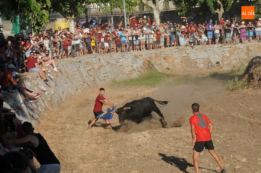 La Fiesta Juvenil, los Juegos en las Piscinas o la ruta BTT, entre las citas del Verano Cultural 2023