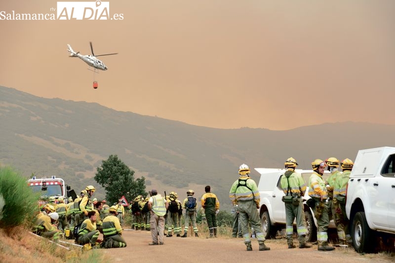Salamanca lucha contra los incendios con cerca de 500 efectivos y más de 60 medios aéreos y terrestres 
