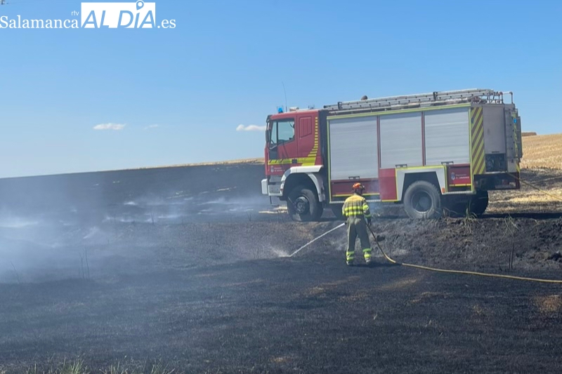 Un incendio calcina tres hectáreas de terreno agrícola en Villagonzalo de Tormes