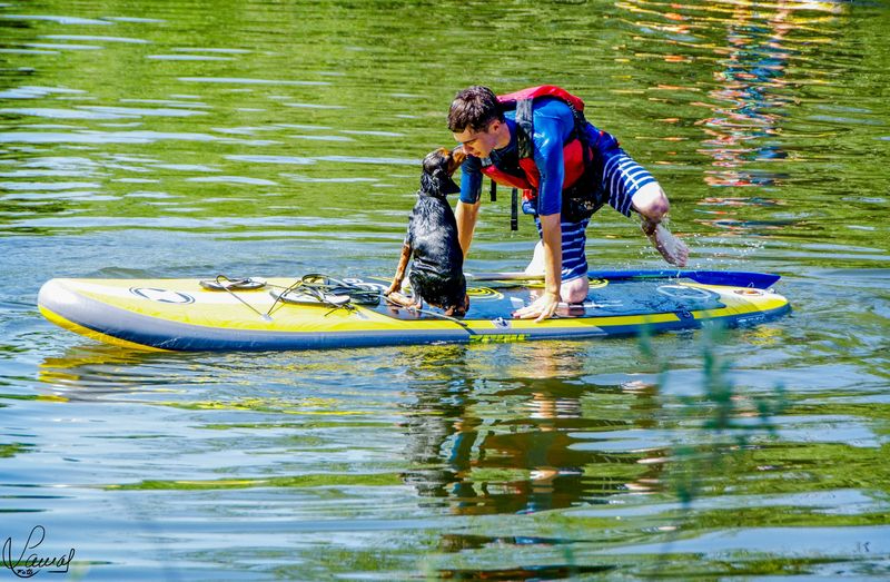 Amistades divertidas 