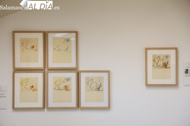 Las obras de Dalí ya pueden visitarse en Santa Marta