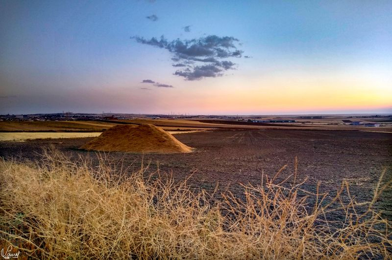 La tierra y sus ciclos