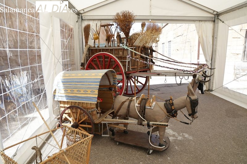 Éxito de la I Feria Popular de Productos de la Armuña en La Vellés