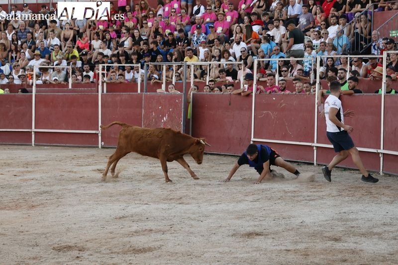 Ambientazo en las vaquillas de Carbajosa para seguir disfrutando de las fiestas